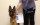 Dog-Obedience-Training-Staunton-Waynesboro