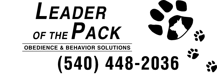 Dog Training,Puppy Training,Obedience,Behavior